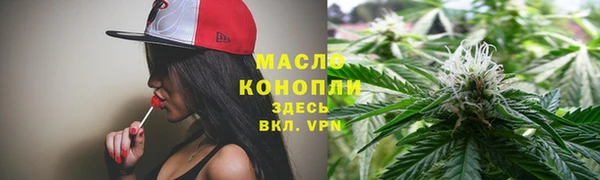 ECSTASY Горняк