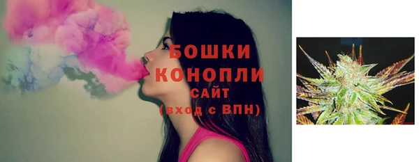 Альфа ПВП Горно-Алтайск