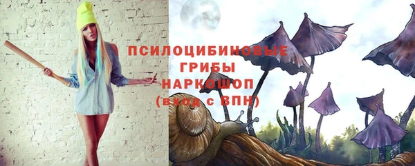 экстази Гусь-Хрустальный