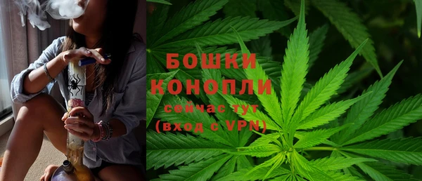 экстази Гусь-Хрустальный