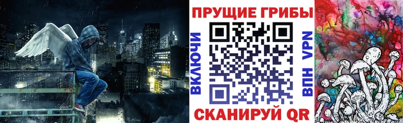Псилоцибиновые грибы мицелий Миасс